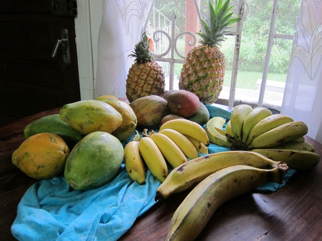 Papayas, pineapple, mango, bananas, honey bananas, and plantain