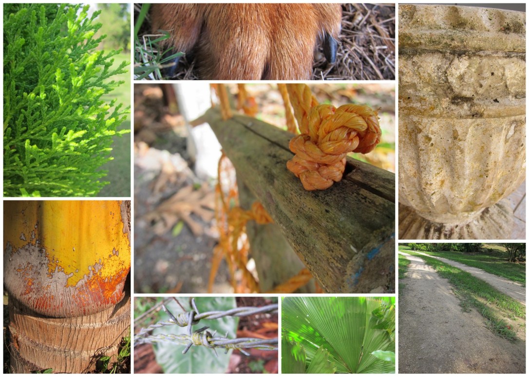 jamaica color texture