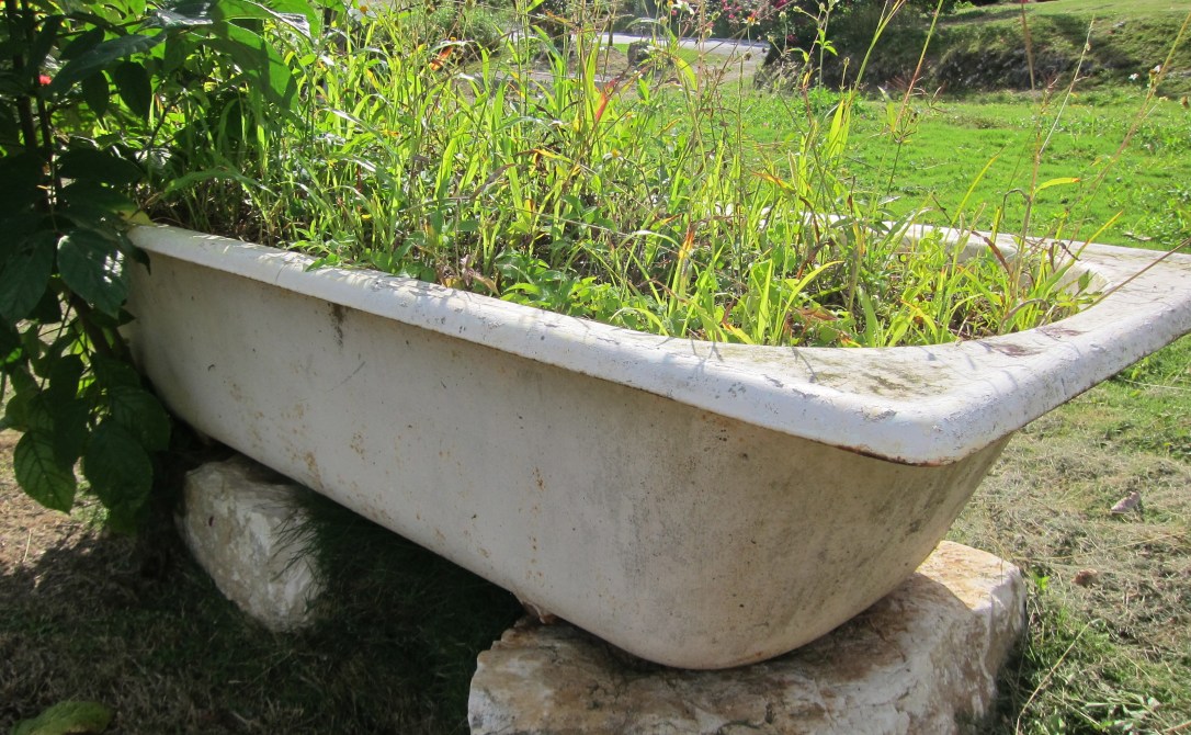 bath tub garden