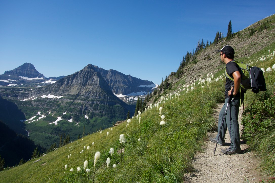 Glacier National Park Highline Trail