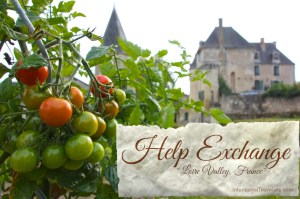 Loire-Chateau-France-Help-Exchange