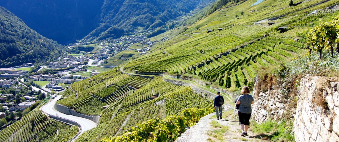Martigny-Switzerland-hiking-vineyards