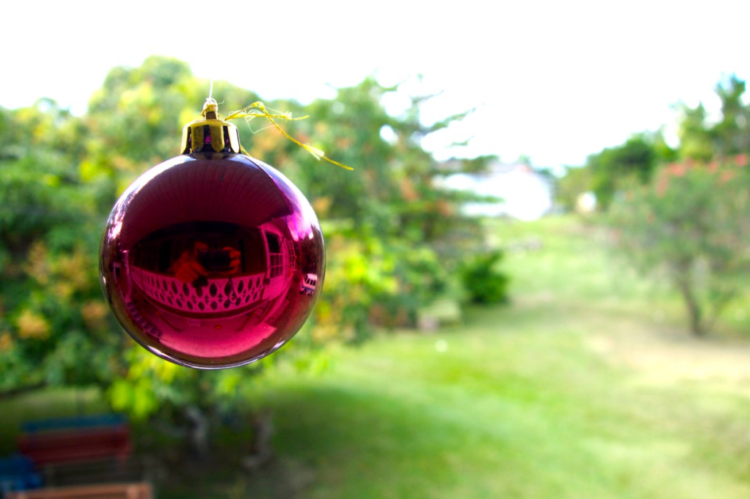 Christmas in Jamaica